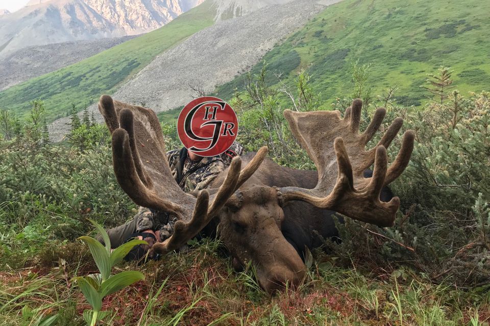 Final (1)