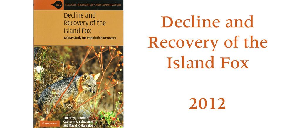 Decline and recovery of island fox20121203 1865 1c08zc9 0