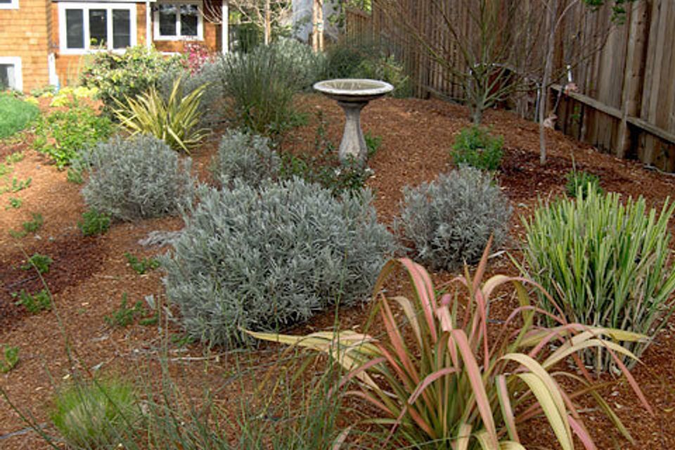 San enselmo residence 06