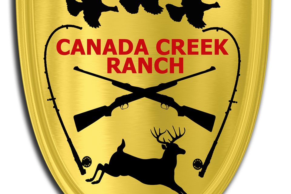 Logo copy