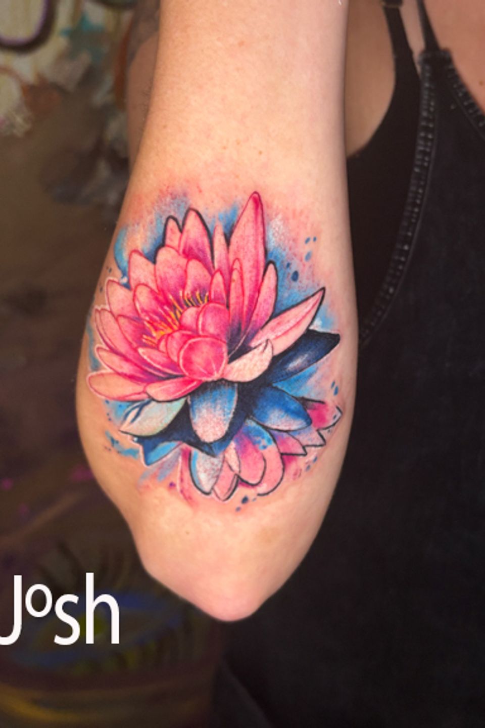 Lotus josh