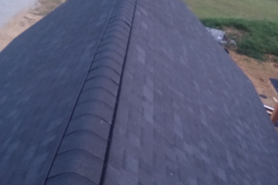 1000031362