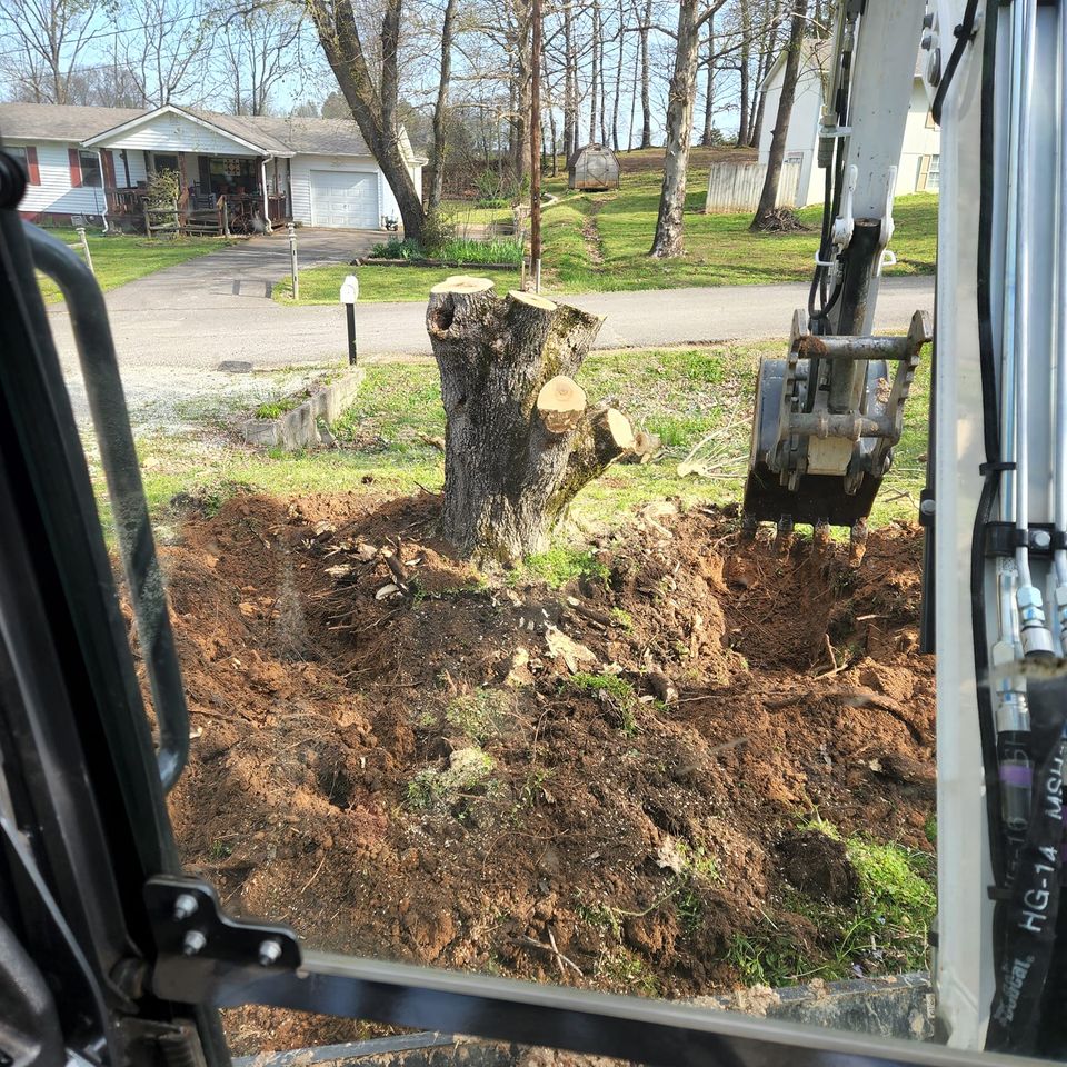 493375825 24281456094775231 602392707982972087 n