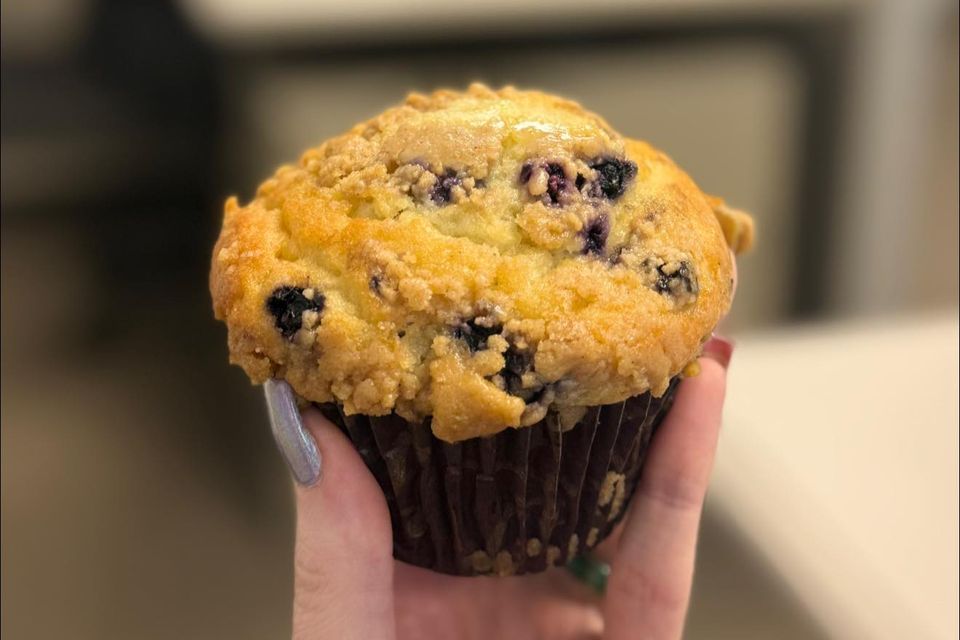 668160030 122176155398755874 6516892030089721580 n