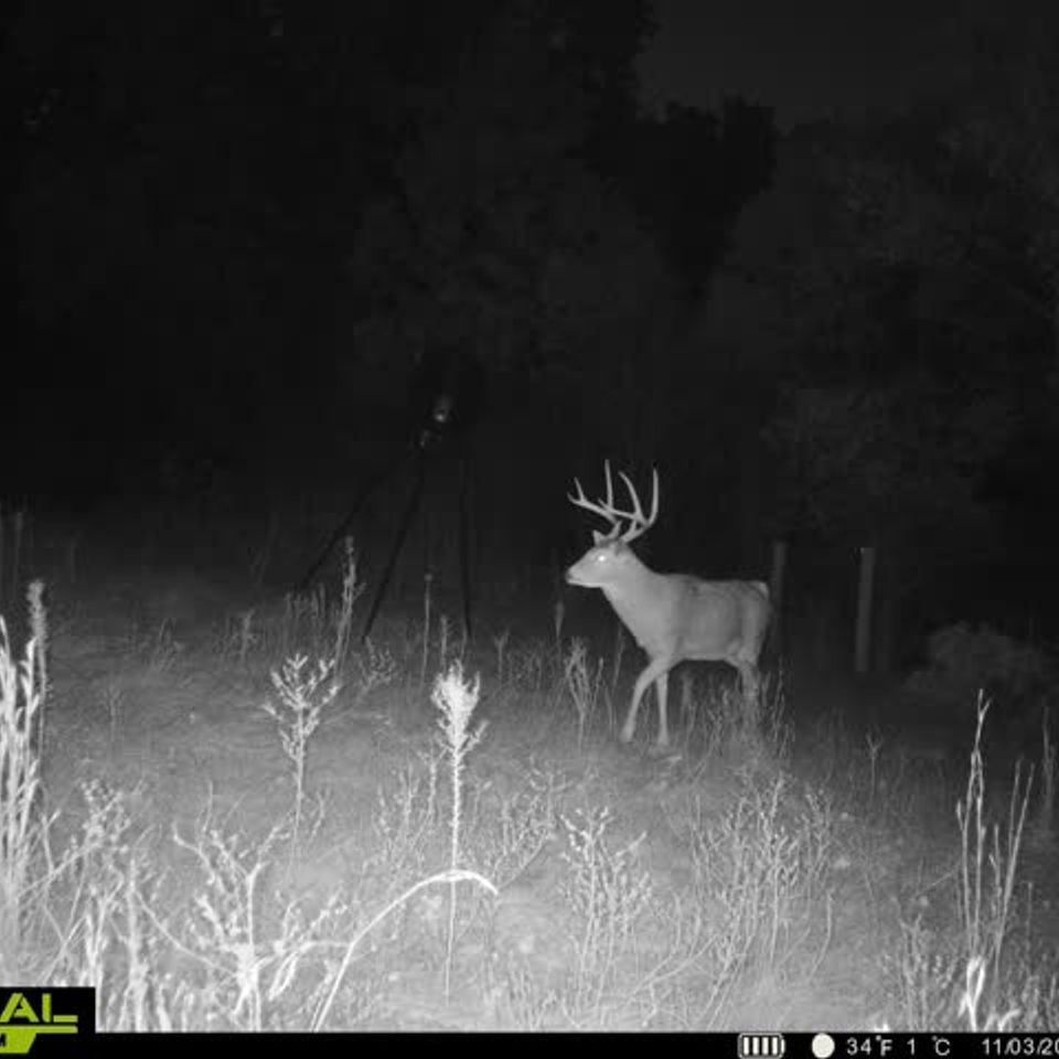 860322065134030 100 3 11032025060445 w1000568