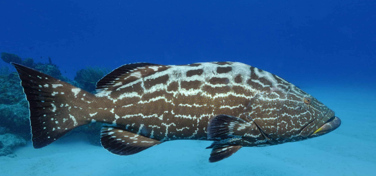 Screenshot 2026 02 24 at 10.21.47 am