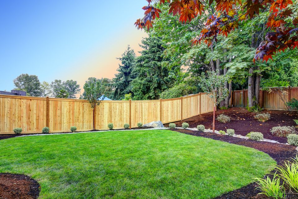 Yard with fence