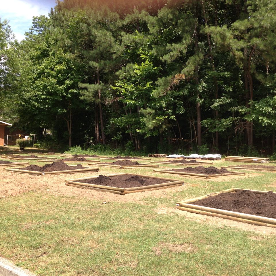 Daltonproject24