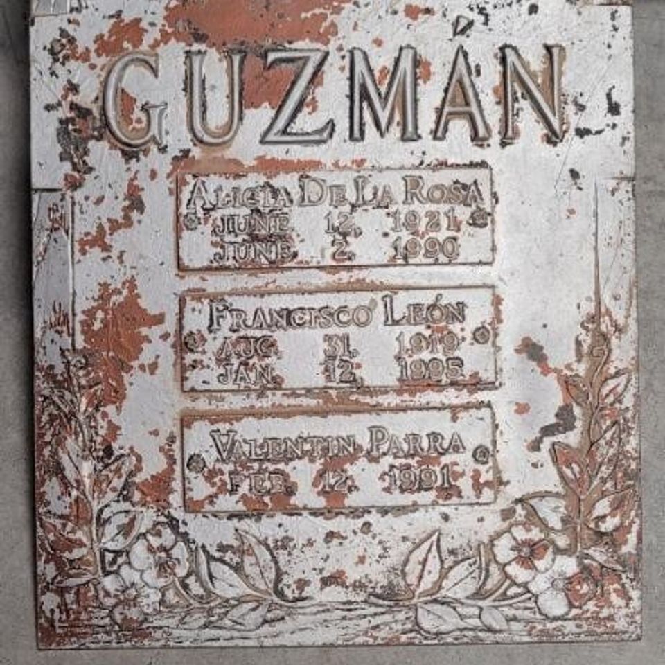 Guzman 1