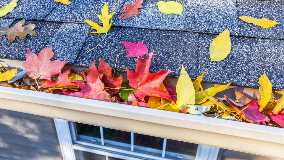 Roof inspection checklist  3  gutters and downspouts