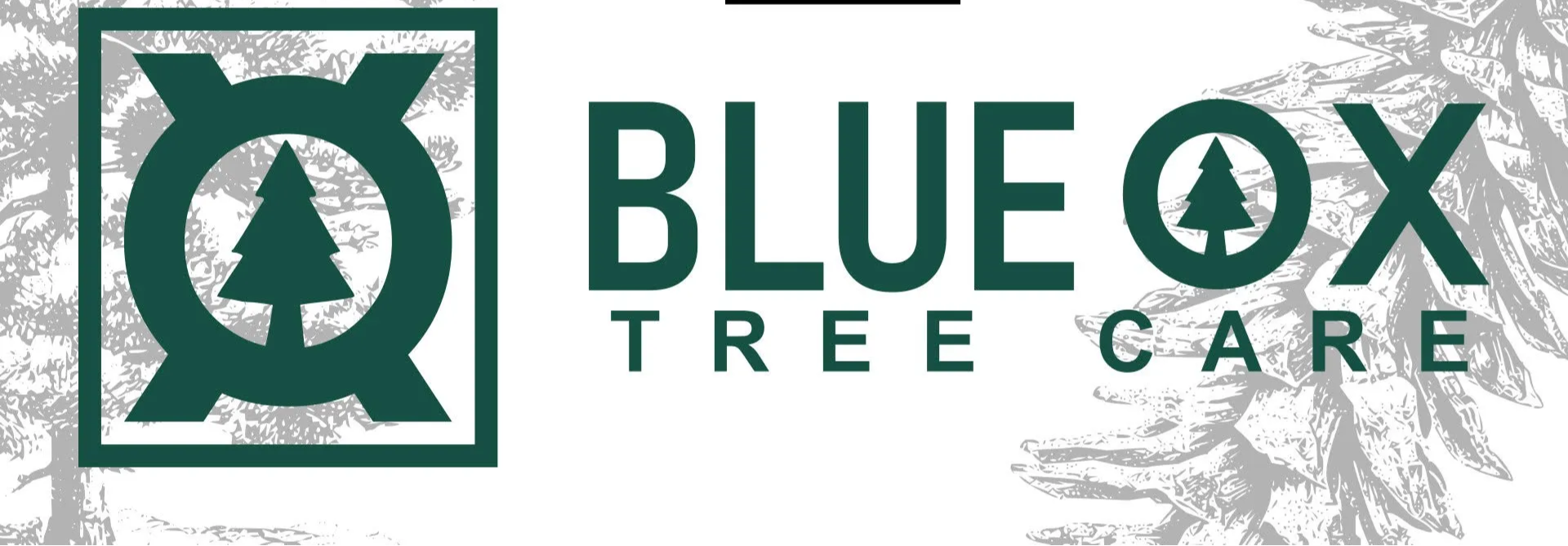 Blue Ox Tree Care LLC
