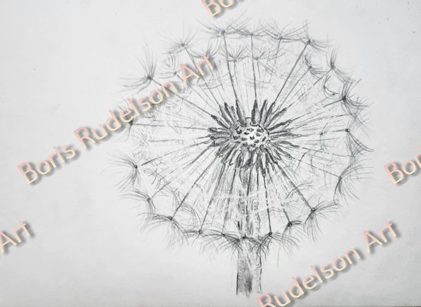 Pencil. Dandelion