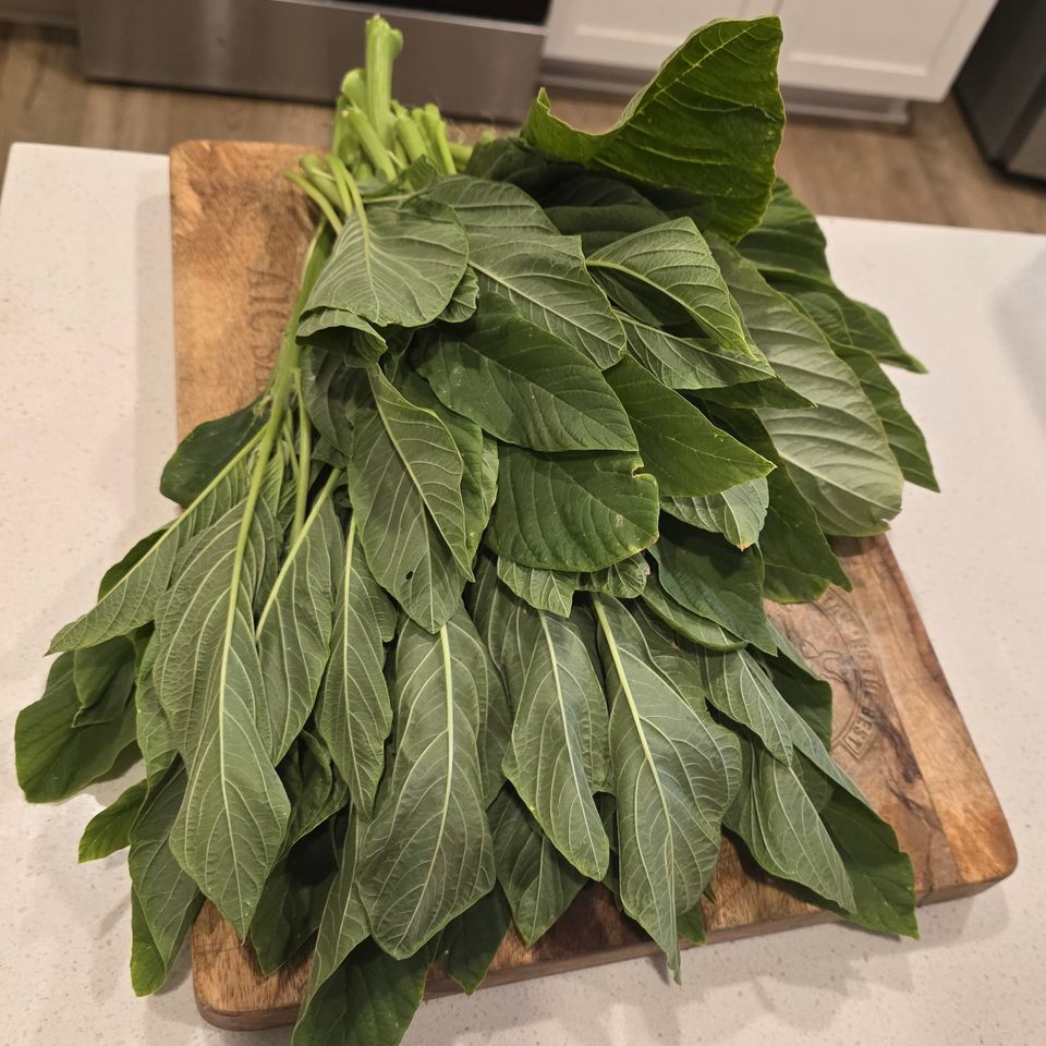 3ecc8b46 0dd3 4daf bfc3 9830503140b8