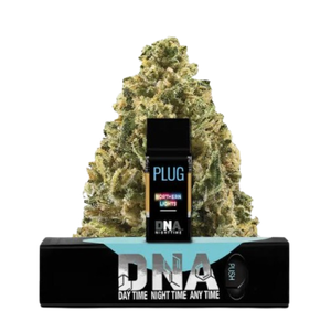 Plug n play  northern lights  indica 1200x1202