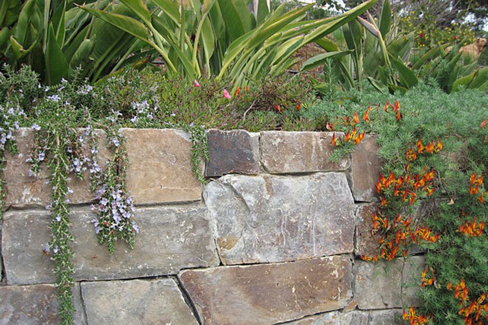 Tiburon residence 04