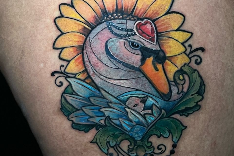 Josh swan