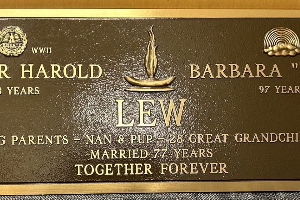 Lew bronze