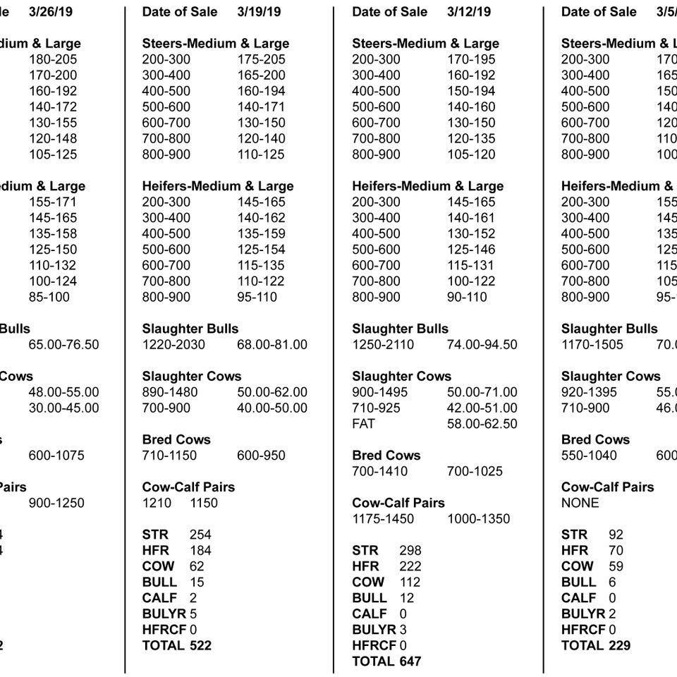Market report instructions