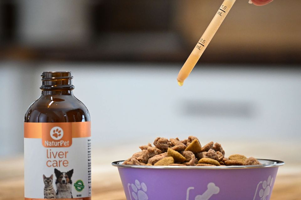 Liver care dropping on kibble 1
