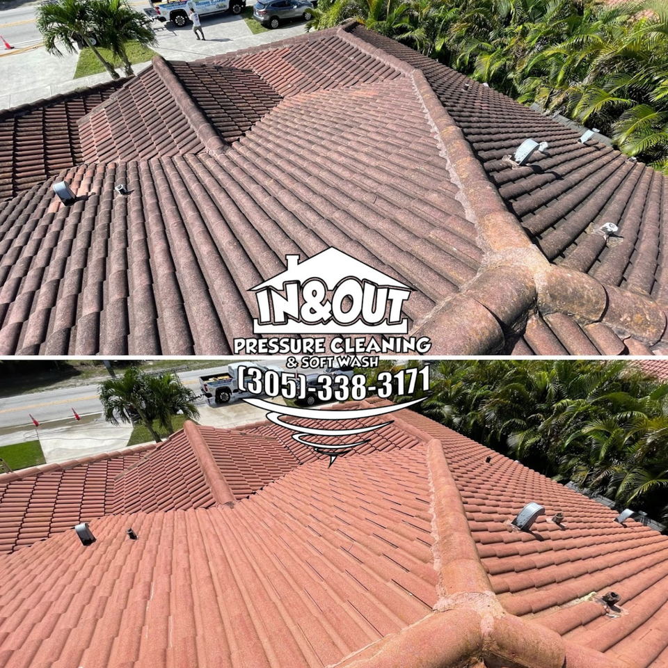 Roof cleaning