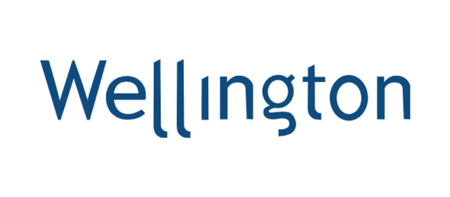 Wellington Insurance Company Logo