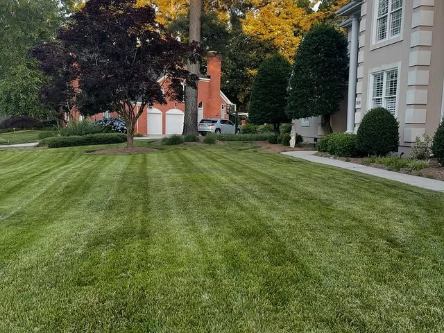 Grass with perfect cut lines in it after mowing, done by Get A Mow On Lawn Care LLC of Chesapeake VA