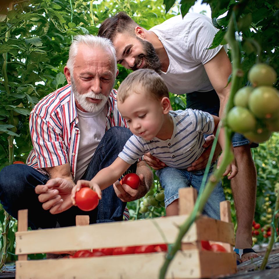 Bloir family farm 2