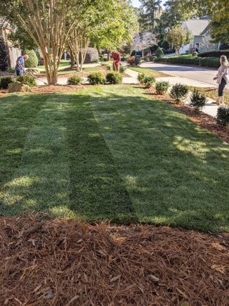 lawn service in raleigh, lawn treatment, mulch, brick pavers