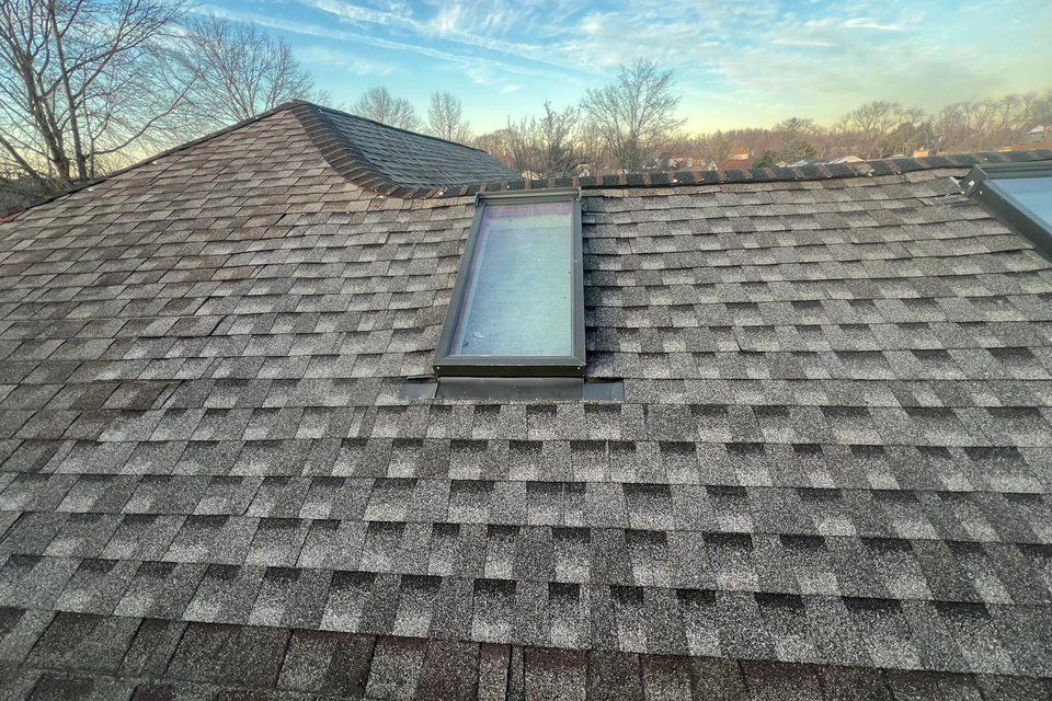 roof with skylights