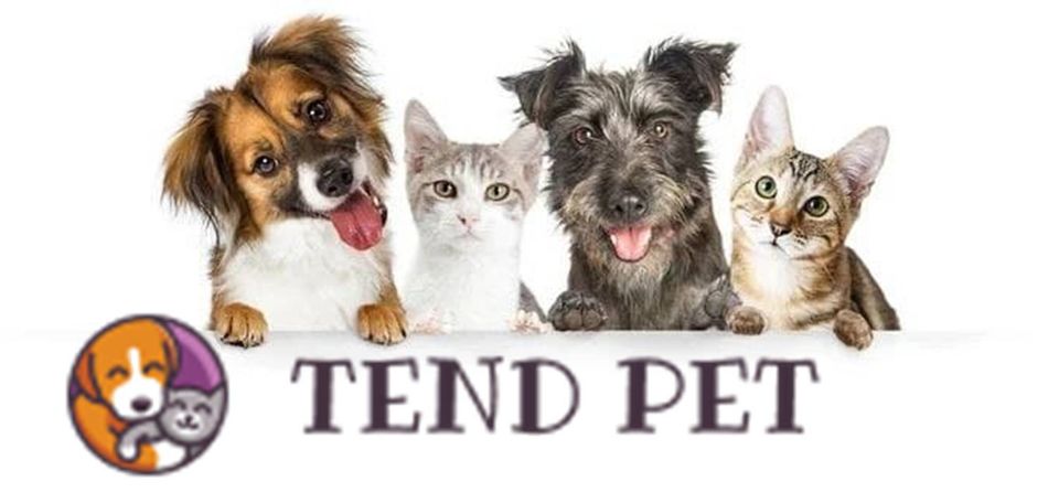 Tendpetdogsandcats