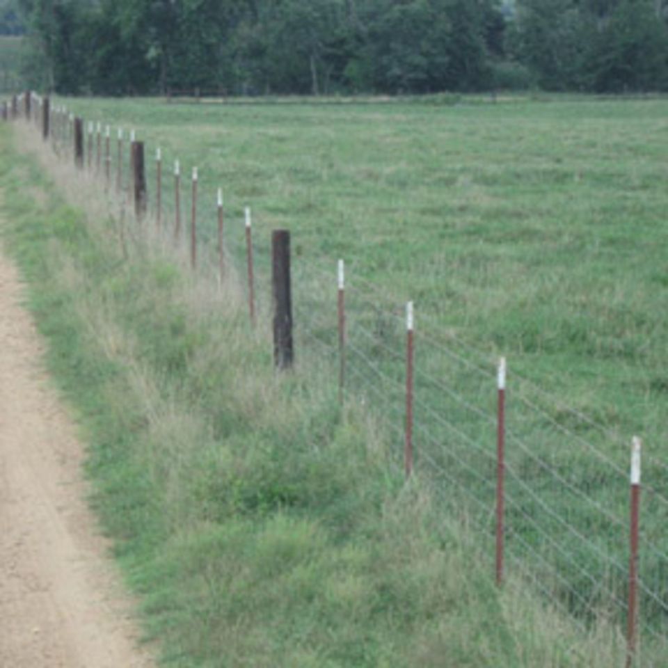 Fieldfenceonestrand6500 620150602 29141 tiiq1j