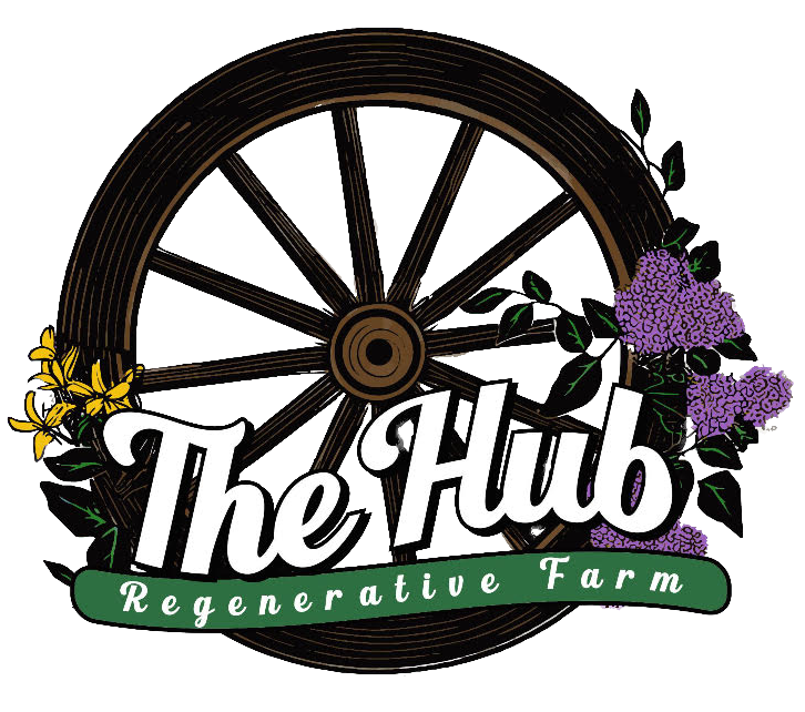 The Hub Regenerative Farm Owego NY Camping Events Farm