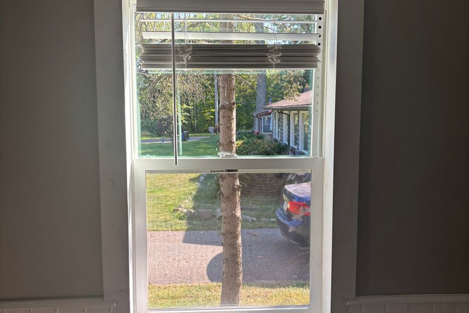 Img 3195