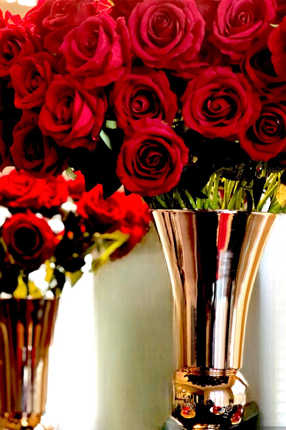 red roses