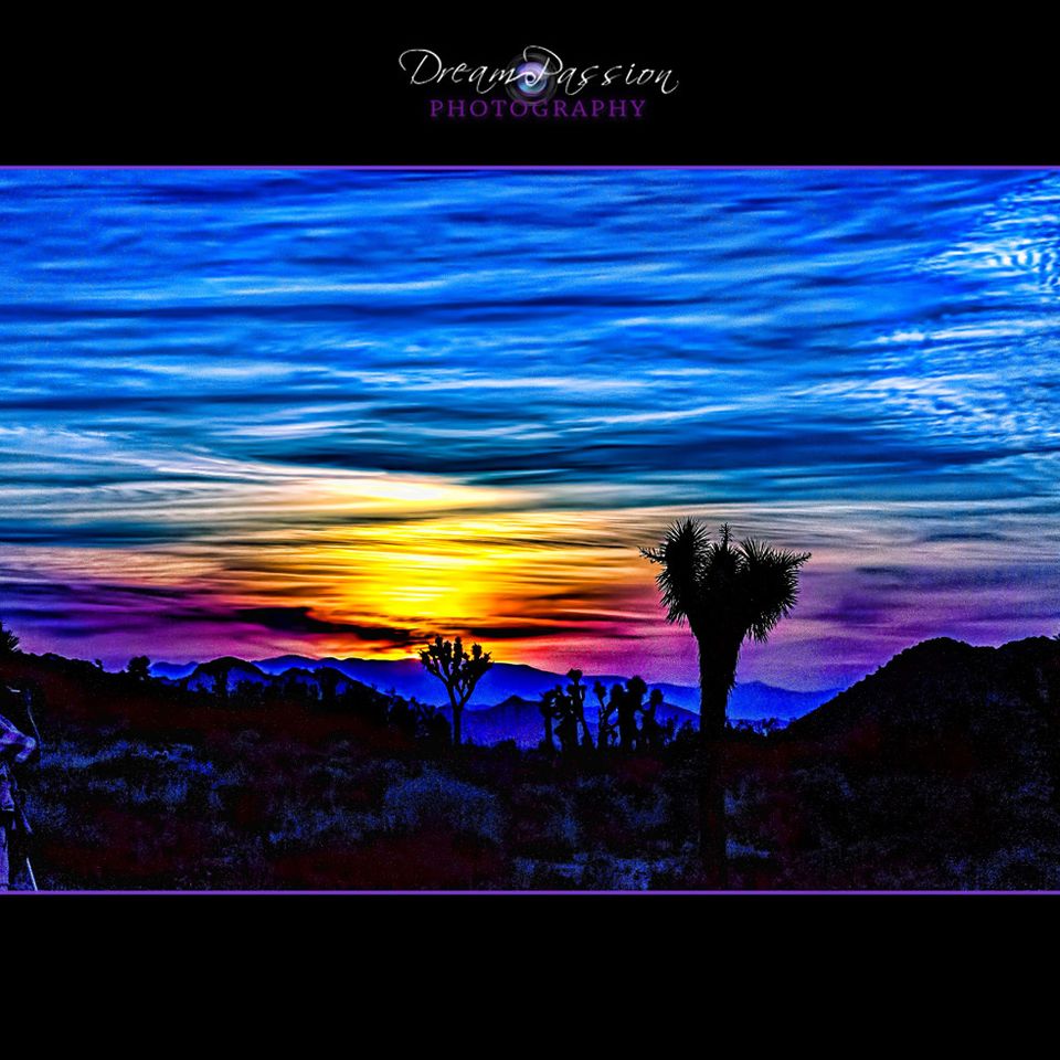 Joshua tree sunset view 01