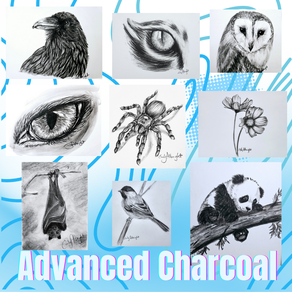 Advanced charcoal