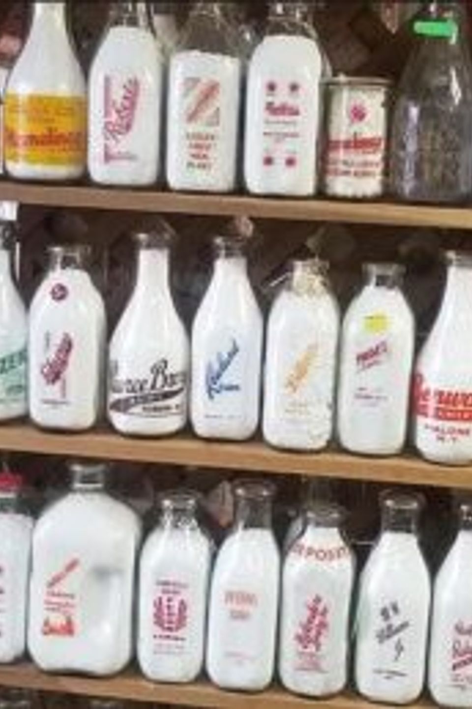 Bottles sq 300x258