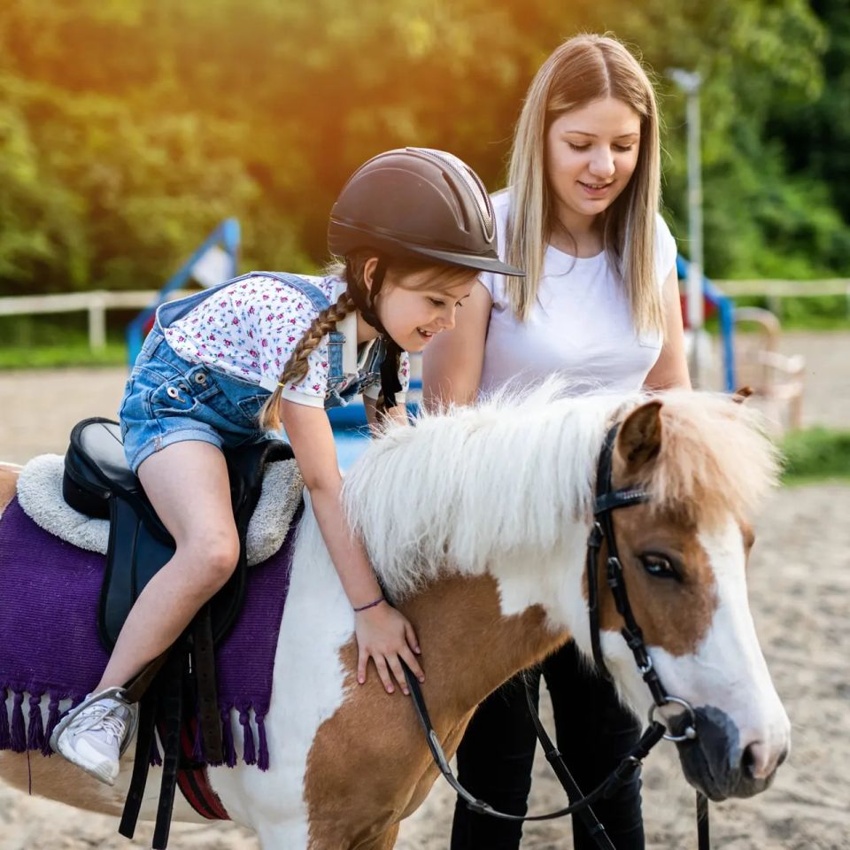 Mobile Petting Zoo pony rides