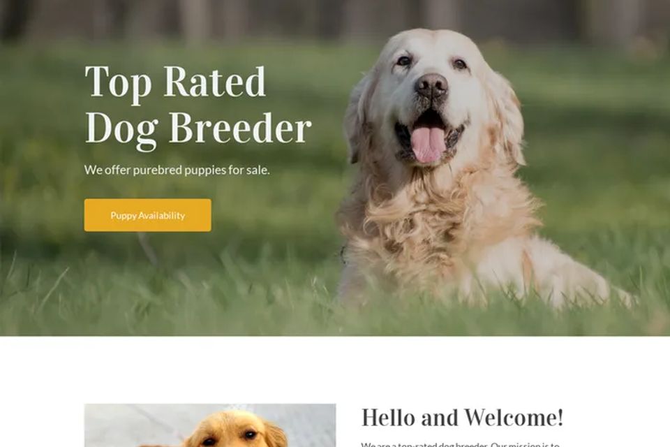 Best dog breeder website design theme original