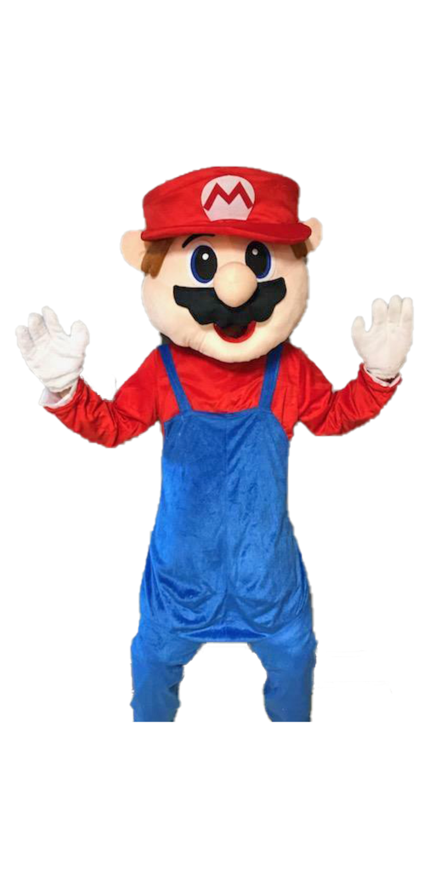 Mario 960x
