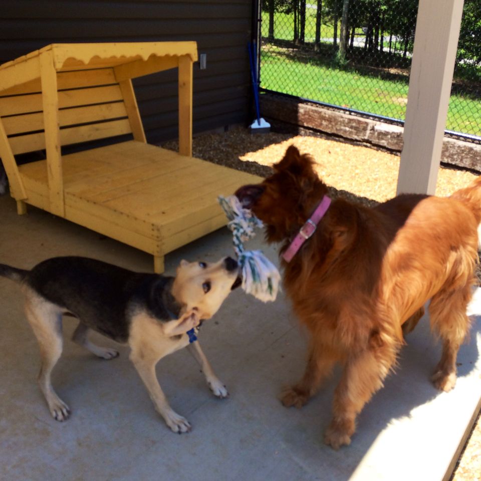 Games   tug o war