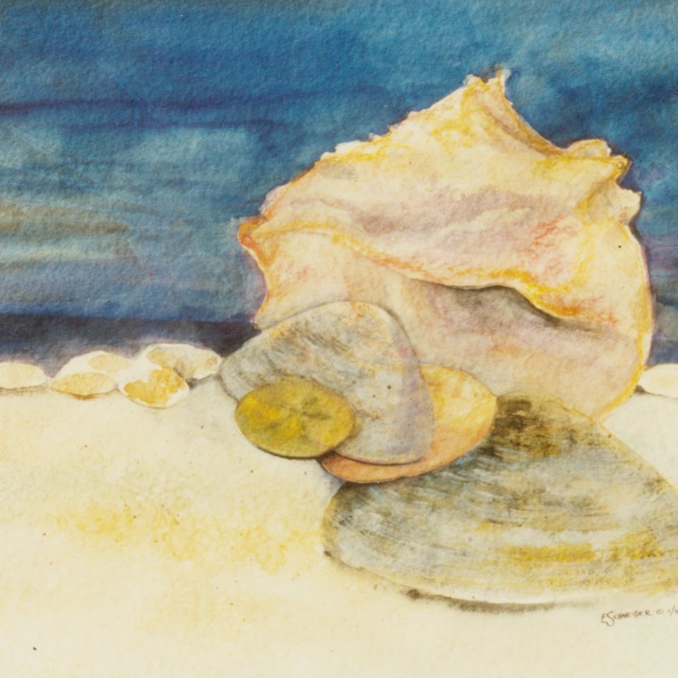 Shells