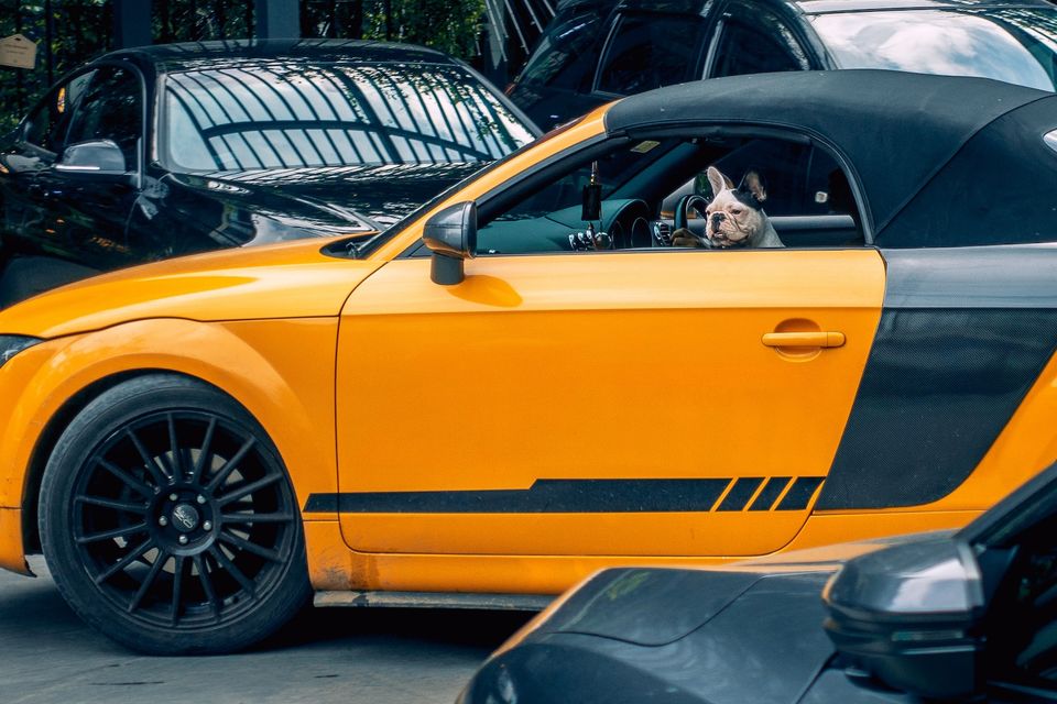 Vehicle Wraps stripe