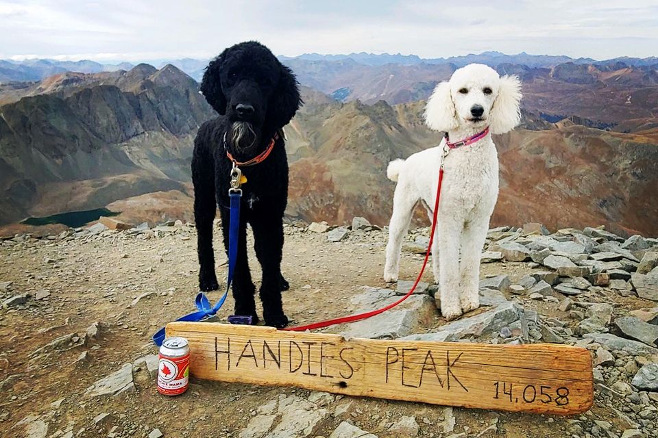 0ac52df7 62f6 4c87 a2c3 fc4243964f96