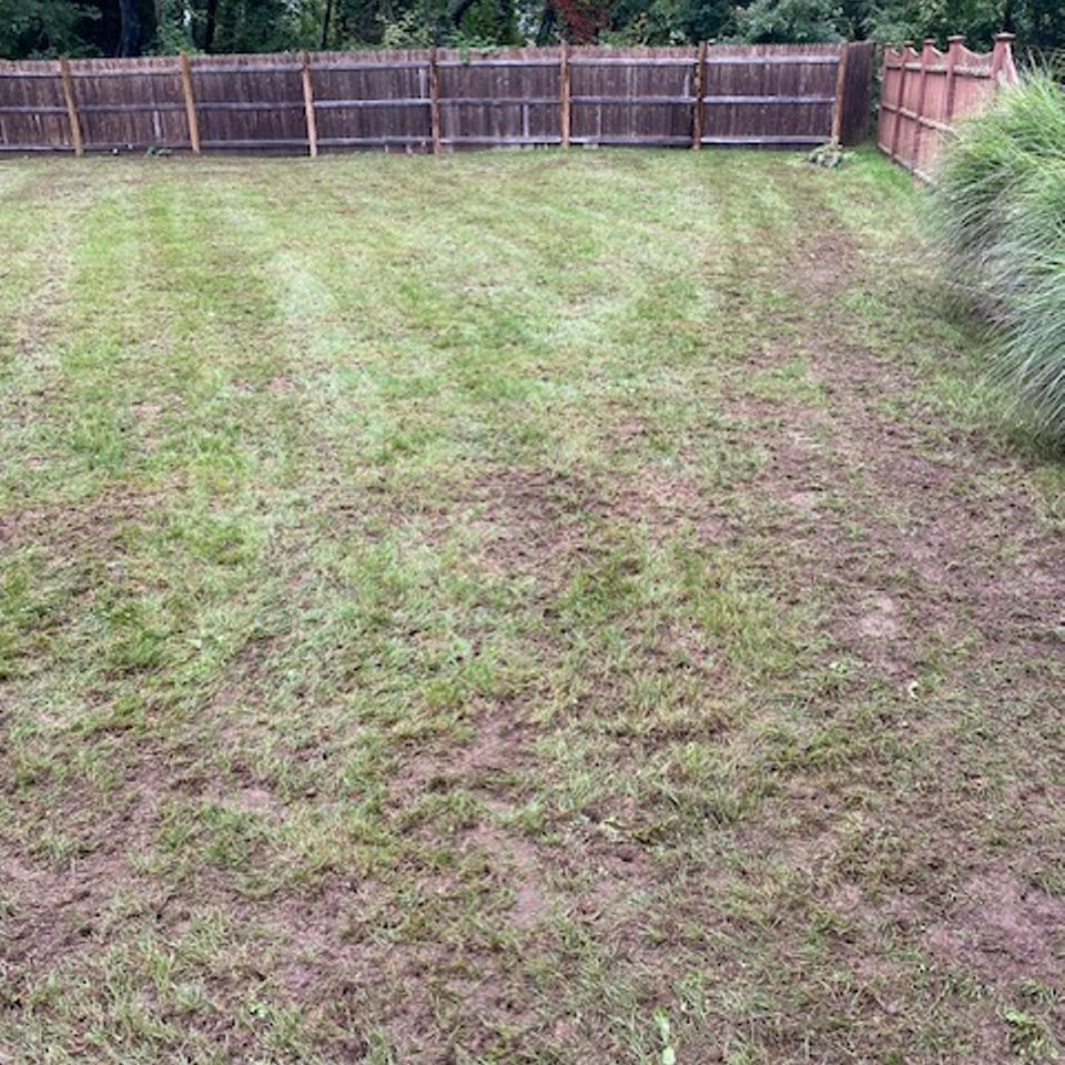 Sullivan back lawn restore photo before