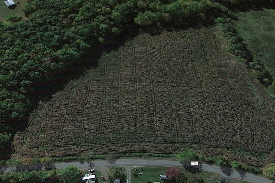 Camp and grow community 2 aerial