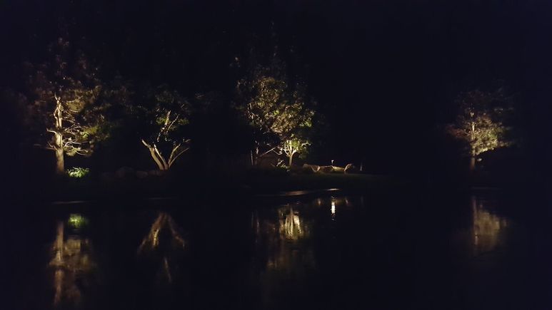 Professional dramatic outdoor landscape lighting in meridian  id