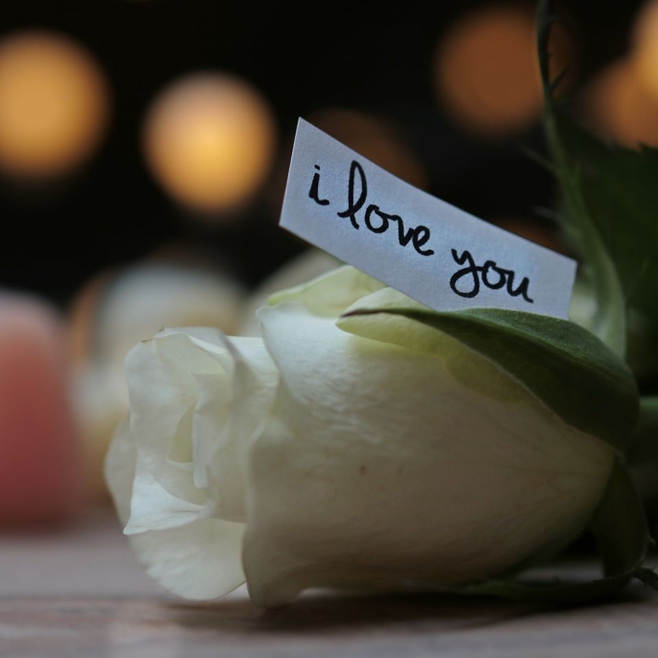 Rose g82a14d49f 1920