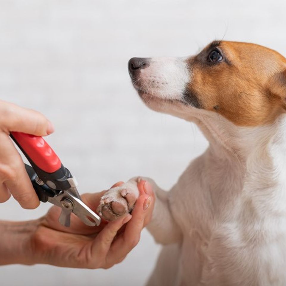 Nail trim