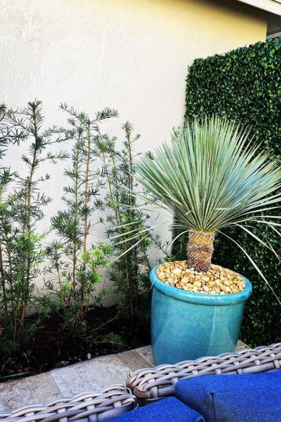 Outdoor patio 3
